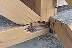 IMG_20260322_143458_crop