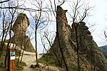 IMG_4420