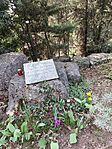 IMG_20260325_095800
