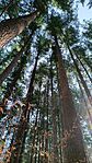 IMG_20260321_102850_899