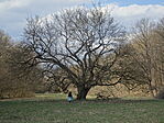 DSC00854
