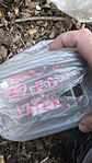 IMG_20260317_093041