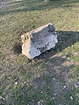 IMG_4831