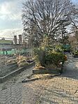 IMG_4846