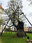 IMG_20260328_130339