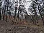 IMG_20260302_110650