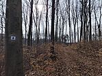 IMG_20260302_113447