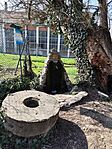 IMG_20260308_105655