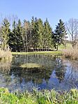 IMG_20260308_111542