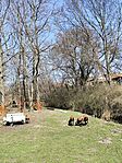 IMG_20260308_112155