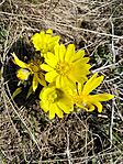 IMG_20260309_124242