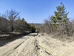 IMG_20260309_125402