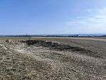 IMG_20260309_131121