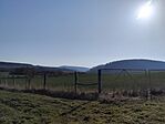 IMG_20260311_090434