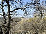 IMG_20260311_121012