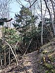 IMG_20260311_121859