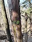 IMG_20260311_121604