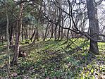 IMG_20260311_123353