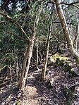 IMG_20260311_124027