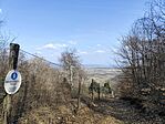 IMG_20260311_130836