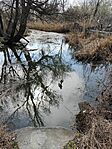 IMG_20260313_120430
