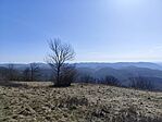 IMG_20260314_100508