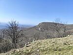 IMG_20260314_100637