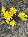 IMG_20260321_110440