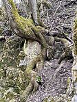 IMG_20260320_124620