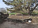 IMG_20260327_122510
