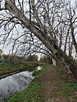IMG_20260327_095452