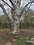 IMG_20260327_100620