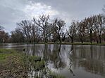 IMG_20260327_101023