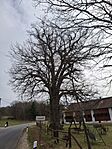 20260322_105337.jpg