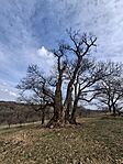 20260322_115623.jpg