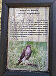 IMG_20260307_100258