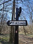 IMG_20260307_101445