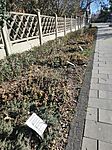 IMG_20260307_134835