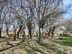 IMG_20260308_104856