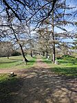 IMG_20260308_122803