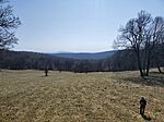 IMG_20260322_102740