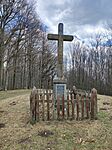 IMG_20260322_131240