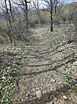 IMG_20260328_134422