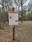 IMG_20260328_145036