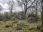 IMG_20260328_145050