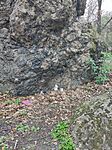 IMG_20260328_145141