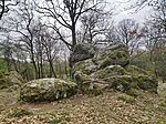 IMG_20260328_145627