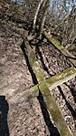 IMG_20260307_122653405