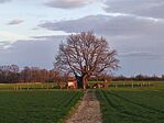 IMG_20260322_173225
