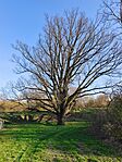 IMG_20260322_160615